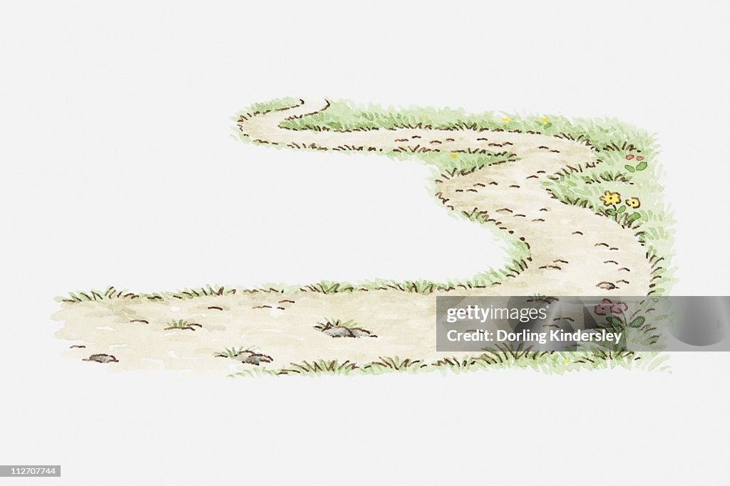 Illustration Of Winding Path High-Res Vector Graphic - Getty Images