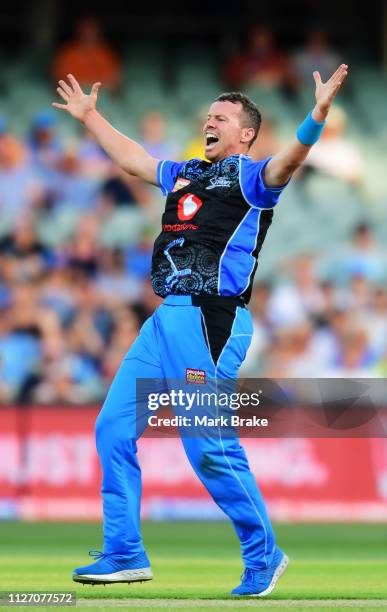 Peter Siddle of the Adelaide Strikers celebrates after taking the wicket of Max Bryant of the Heat lbw during the Big Bash League match between the...