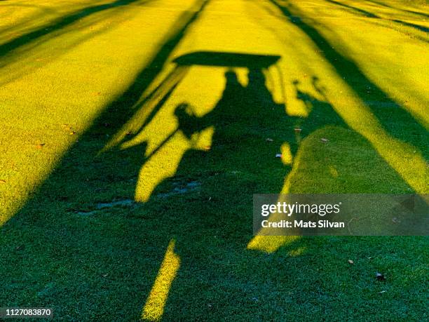 Random Shadowed Driving 365 Driving In Car With Sunlight Silhouette Stock Photos, High-Res ...