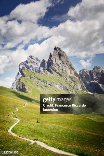 seceda mountain peak with path and green field - mountain peak path stock pictures, royalty-free photos & images