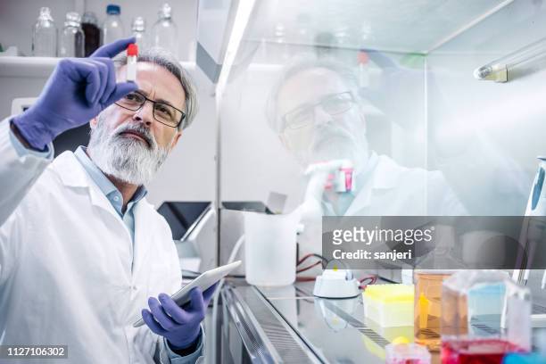 männliche wissenschaftler arbeiten in den digestorium - human tissue stock-fotos und bilder