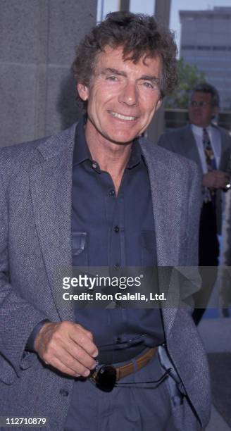 Actor David Birney attends the opening of "Hughie" on June 27, 1999 at the Mark Taper Forum in Los Angeles, California.