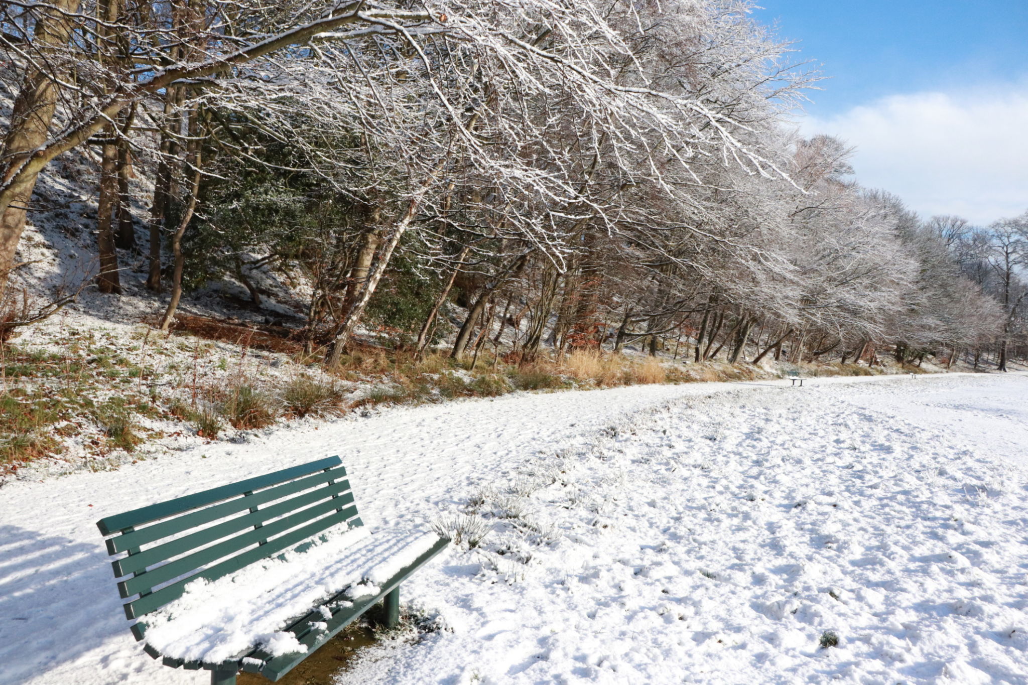snow-covered-park