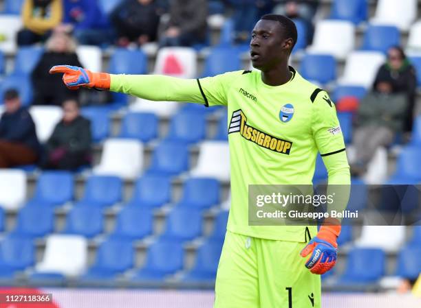 Alfred Gomis of SPAL in action during the Serie A match between US Sassuolo and SPAL at Mapei Stadium - Citta' del Tricolore on February 24, 2019 in...