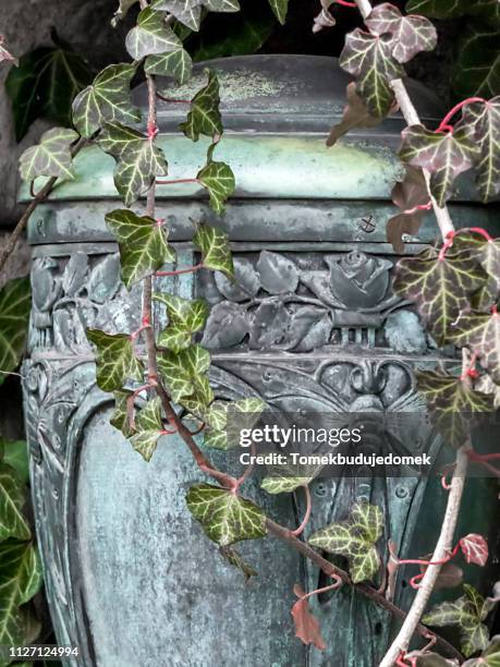 cemetery - begräbnisstätte bildbanksfoton och bilder