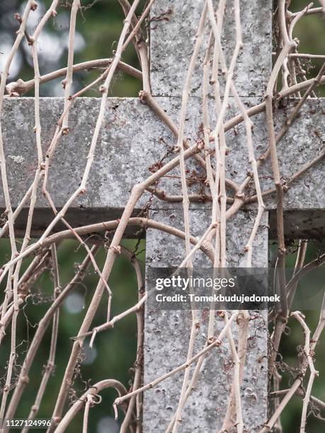 cemetery - trauerzeit stock pictures, royalty-free photos & images