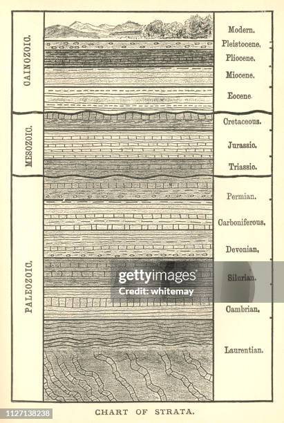 ilustraciones, imágenes clip art, dibujos animados e iconos de stock de cuadro del siglo xix de los estratos de la tierra - geologia