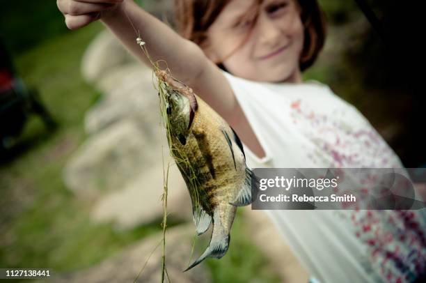 73 Lure Frog Stock Photos, High-Res Pictures, and Images - Getty Images