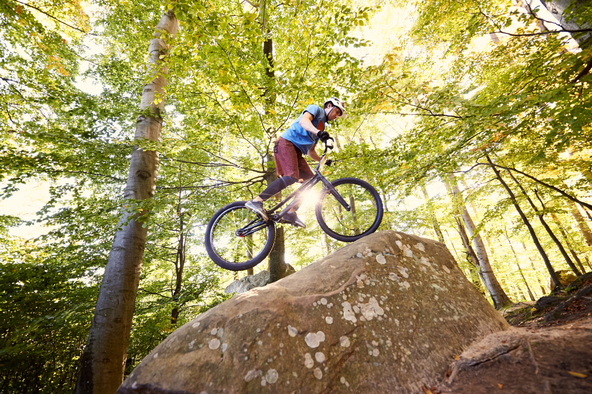 trial workout