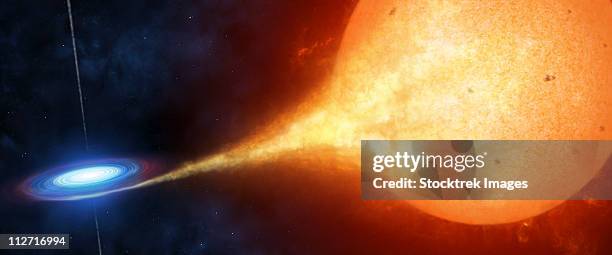 a compact object, or a black hole, is seen ripping off gas from its' sun-like companion. - the nova star stock illustrations