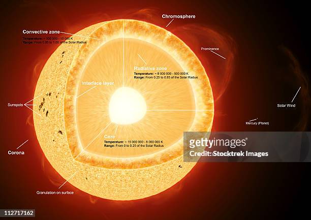 illustration showing the various parts that make up the sun. - corona sun stock-grafiken, -clipart, -cartoons und -symbole