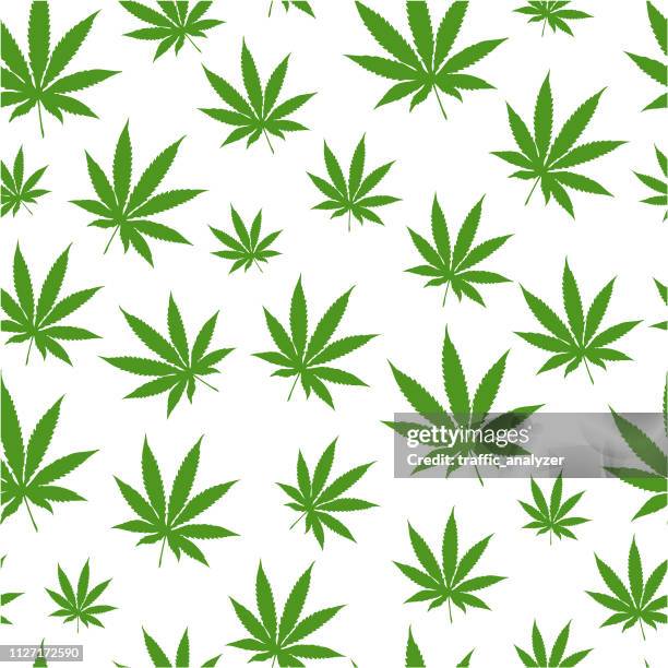 ilustraciones, imágenes clip art, dibujos animados e iconos de stock de fondo transparente de la marihuana - cannabis leaf