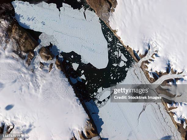 the ice island that calved off the petermann glacier in northwestern greenland migrates down the fjord. - ice sheet stock pictures, royalty-free photos & images