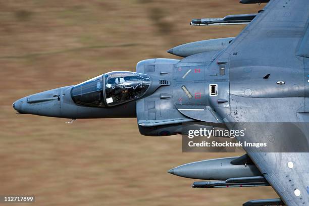 a royal air force harrier gr9 flying low over north wales. - raf harrier stock pictures, royalty-free photos & images