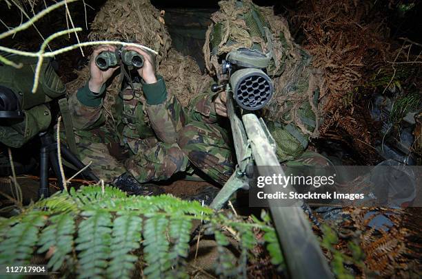 954 fotos de stock e banco de imagens de Sniper Camouflage - Getty Images