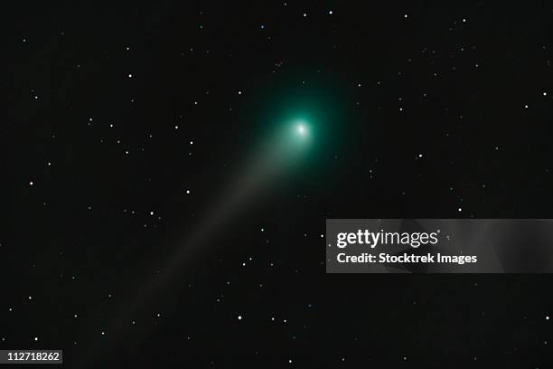 comet holmes - comet nucleus stock pictures, royalty-free photos & images