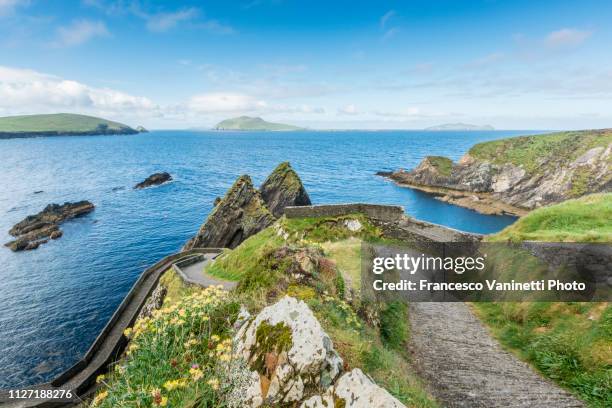 dunquin pier, dingle peninsula, ireland - dingle peninsula bildbanksfoton och bilder