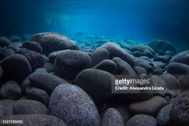 inanimate submerged marine world - sfondi stock-fotos und bilder