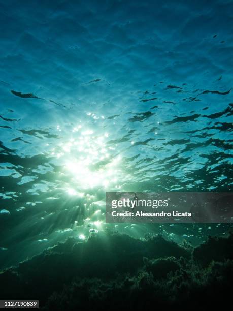 sunlight under the sea - clima tropicale stock pictures, royalty-free photos & images