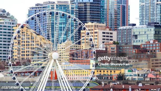 ferris wheel at pier 57 - fall in seattle stock pictures, royalty-free photos & images