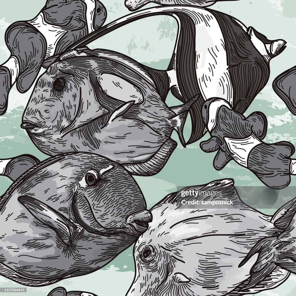 Detailed Seamless Tropical Fish Pattern