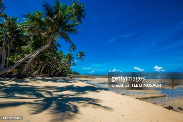 image of the tropical resort. palm tree beach and blue lagoon. yap, micronesia - micronesia stock pictures, royalty-free photos & images