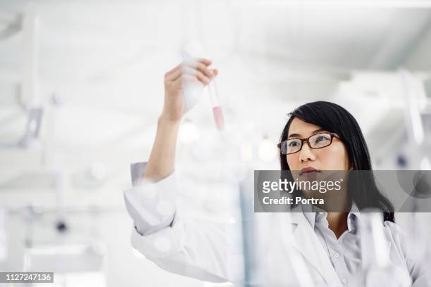weiblicher arzt untersucht probe im reagenzglas im labor - red tube stock-fotos und bilder