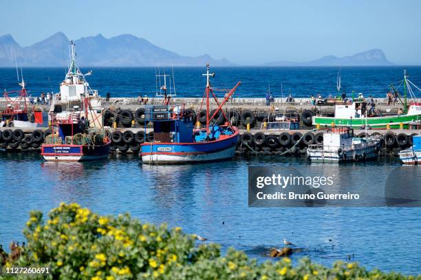 fishing boats at kalk bay harbour - kalk bay stock-fotos und bilder