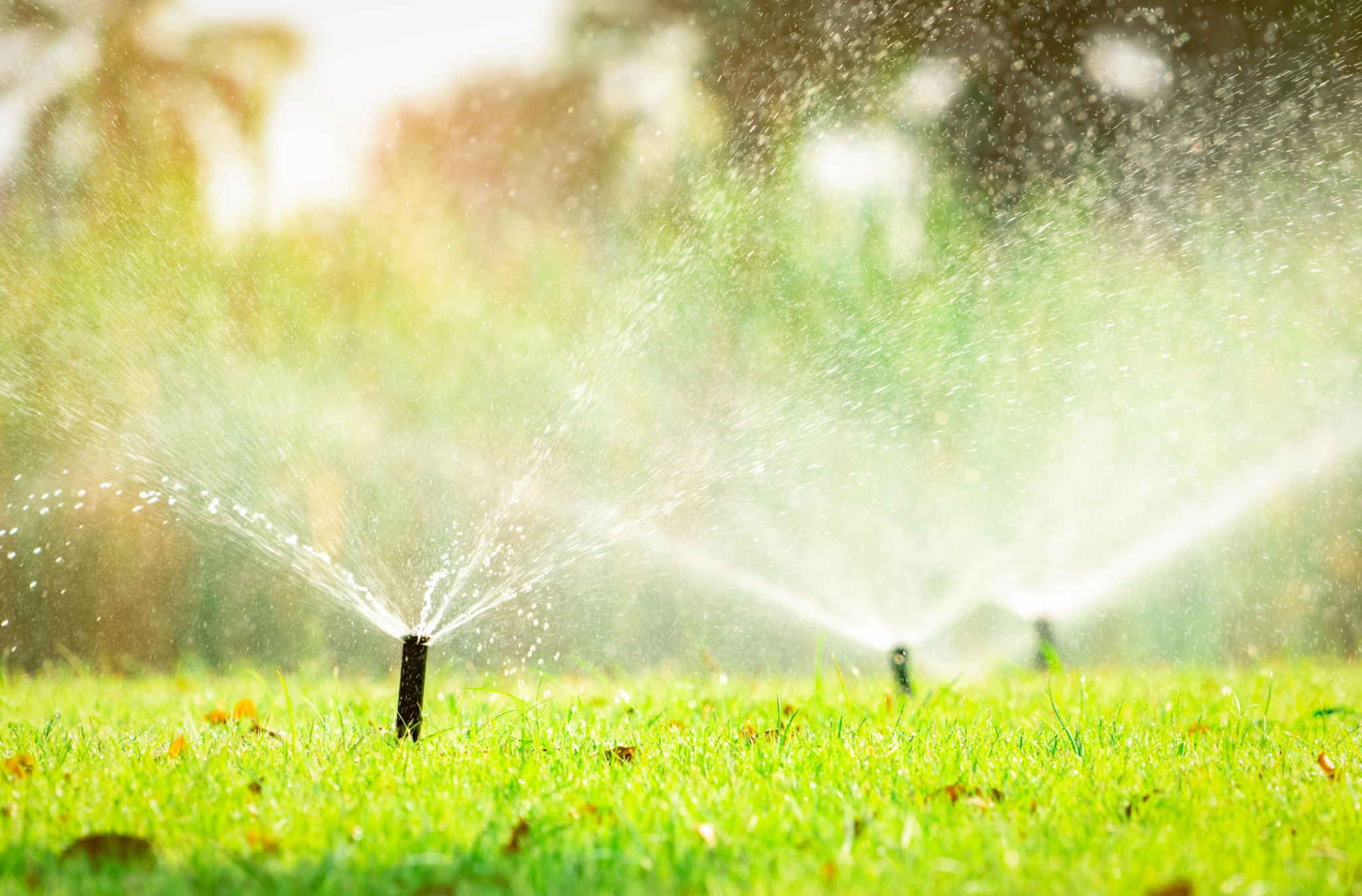 landscaping rebate