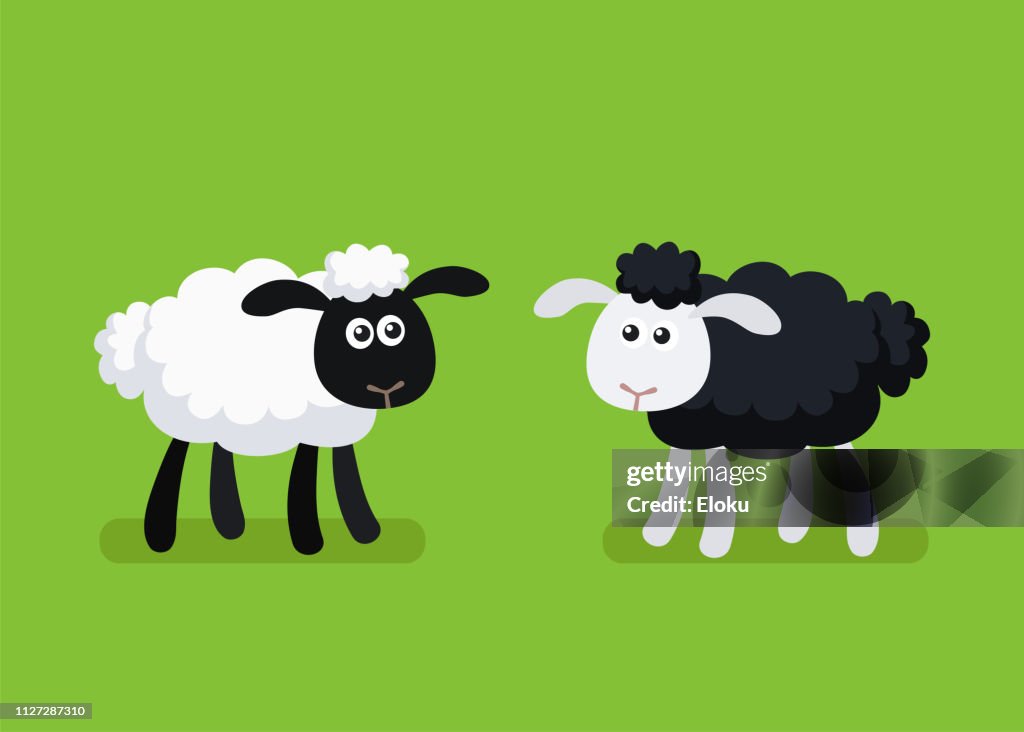 Cartoon Black And White Sheep Standing On Plain Green Background High-Res Vector Graphic - Getty Images Cartoon Black And White Sheep Standing On Plain Green Background High-Res Vector Graphic - Getty Images