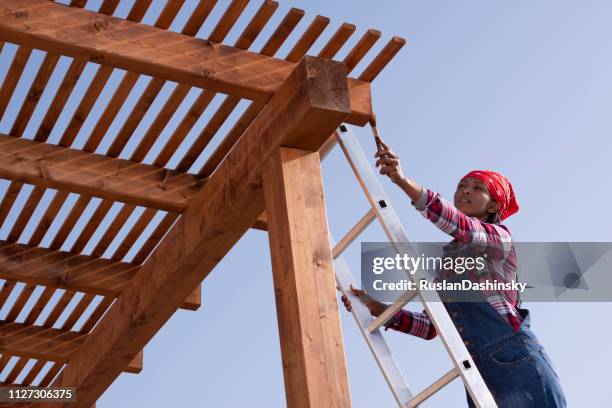 femme peinture la nouvelle pergola en bois avec du vernis. - pergola bois photos et images de collection