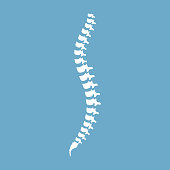 Human spine anatomy. Spinal segments and roots. Vector illustration white spine diagnostic symbol, design, sign on blue background.