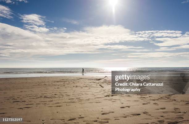 walking on a winter beach - costa caratteristica costiera imagens e fotografias de stock