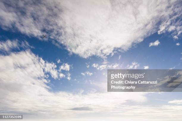 an airplane in the sky - meteorologie stock pictures, royalty-free photos & images