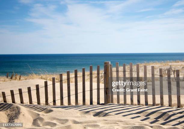 sand fence at beach. - new england stock pictures, royalty-free photos & images