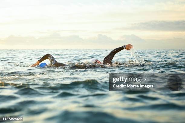 determinadas mujeres nadando en el mar durante la puesta de sol - nadador fotografías e imágenes de stock