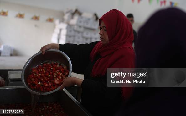 Palestinian Women Employed By UNRWA Palestinian Women Employed By UNRWA
