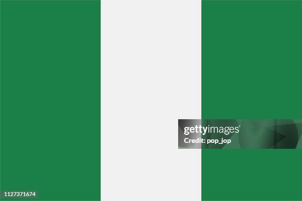 03 - united states - rectangle flat - nigerian flag stock illustrations