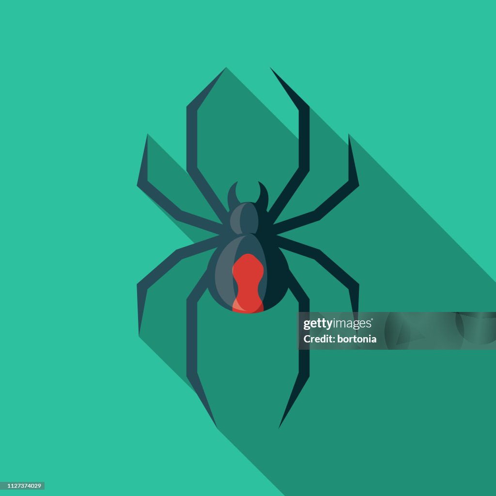 Redback Spider Australia Icon