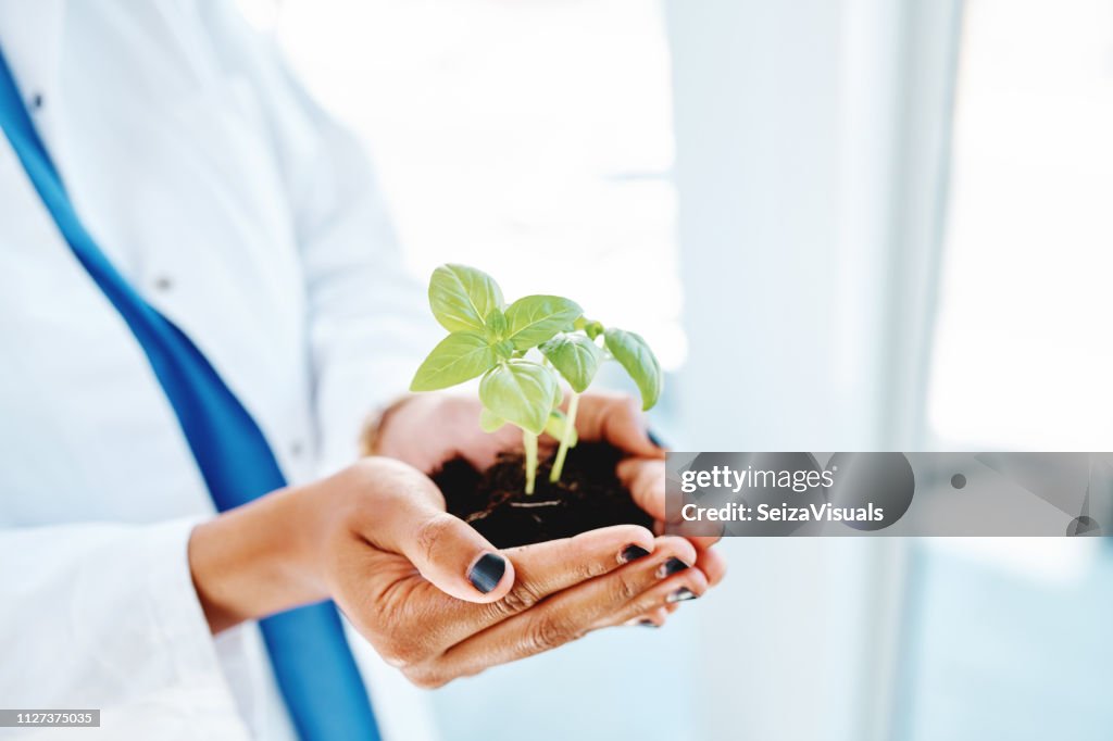 Gesund ist der Weg zu wachsen