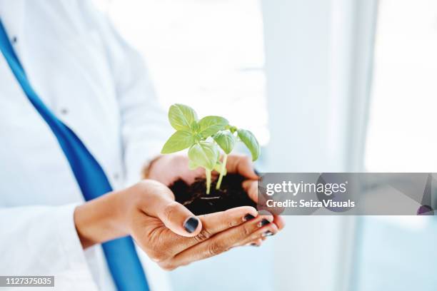 gesund ist der weg zu wachsen - umweltthemen stock-fotos und bilder