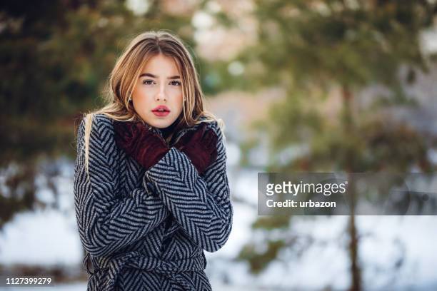 schönheit im schnee - frösteln stock-fotos und bilder