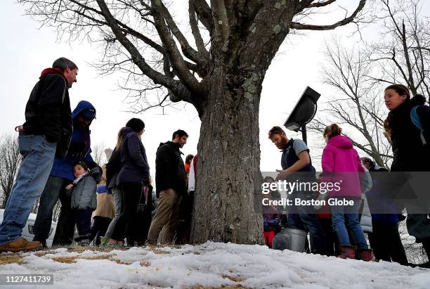 Crowd gathers under a maple tree as it is being tapped for maple syrup at the Mass Audubon's Boston Nature Center and Wildlife Sanctuary in the...