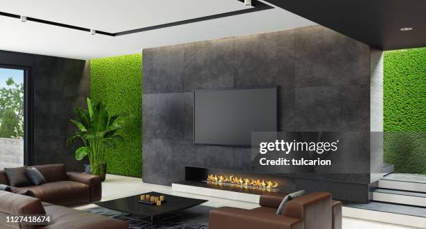 luxury living room with innovative green moss walls with eco fireplace - insight tv stock pictures, royalty-free photos & images