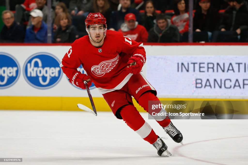 NHL: FEB 24 Sharks at Red Wings