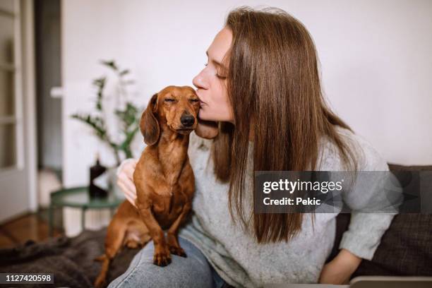 kissing her favorite brown dachshund dog - hug and kiss stock pictures, royalty-free photos & images