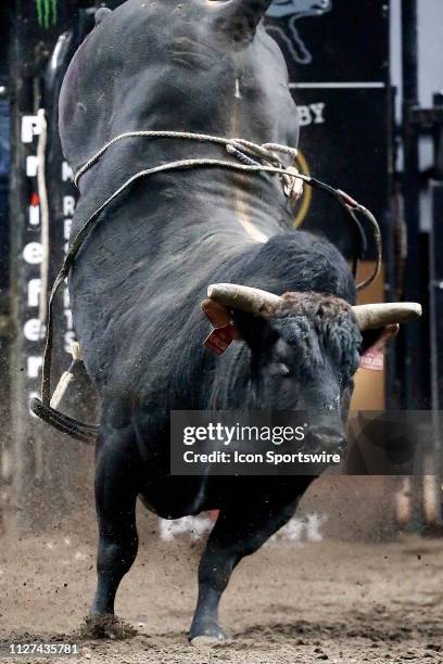 Indigneous Bull Rider Professional Bull Riders Photos and Premium High Res Pictures - Getty ...