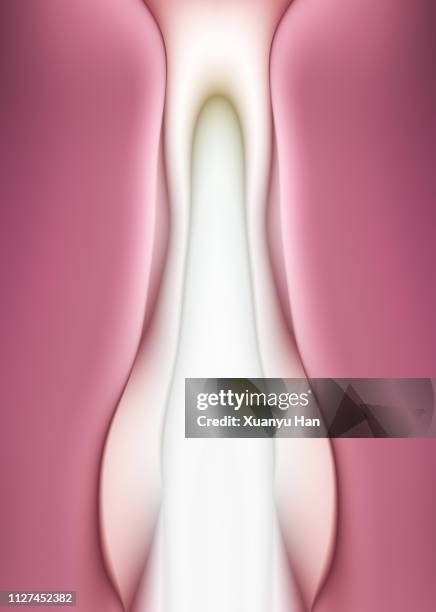 female genitals abstract design - scheide stock-fotos und bilder