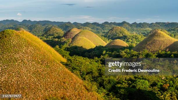 chocolate hills - forêt tropicale humide stock pictures, royalty-free photos & images