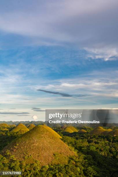 chocolate hills - forêt tropicale humide stock pictures, royalty-free photos & images